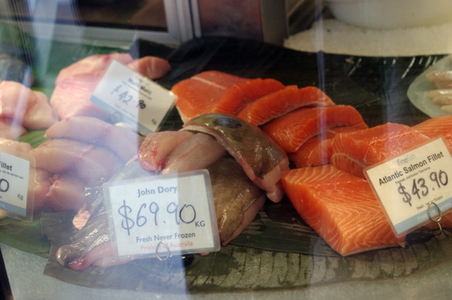 fish 4.jpg
